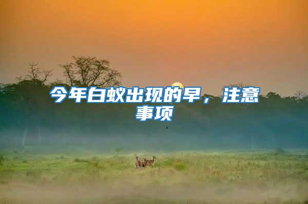 今年白蟻出現的早,注意事項