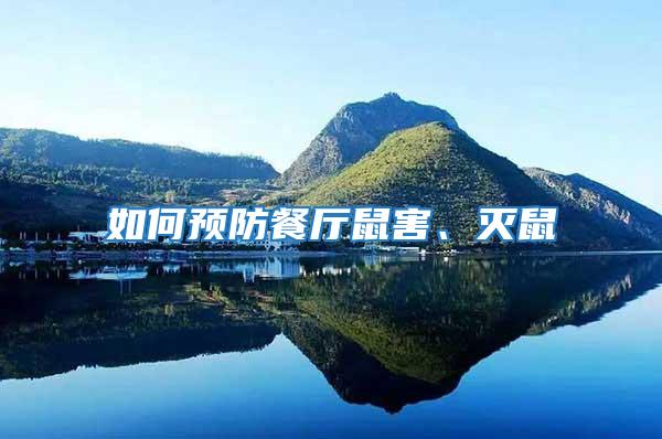 如何預防餐廳鼠害、滅鼠