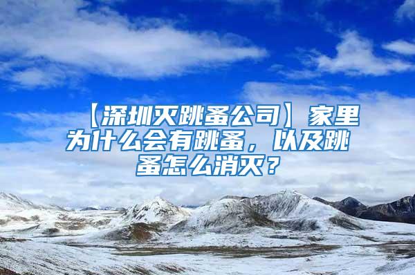 【深圳滅跳蚤公司】家里為什么會有跳蚤,以及跳蚤怎么消滅?