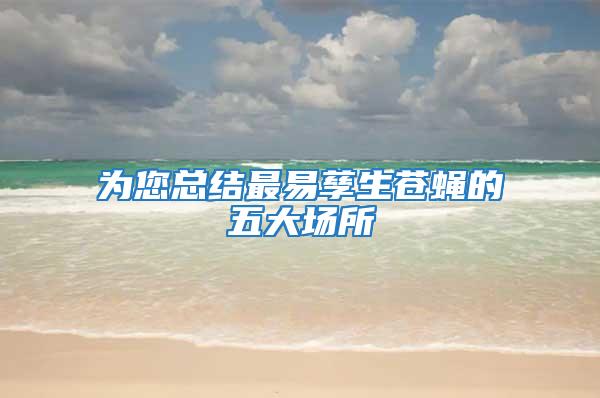 為您總結最易孳生蒼蠅的五大場所