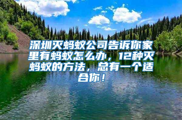 深圳滅螞蟻公司告訴你家里有螞蟻怎么辦，12種滅螞蟻的方法，總有一個適合你！