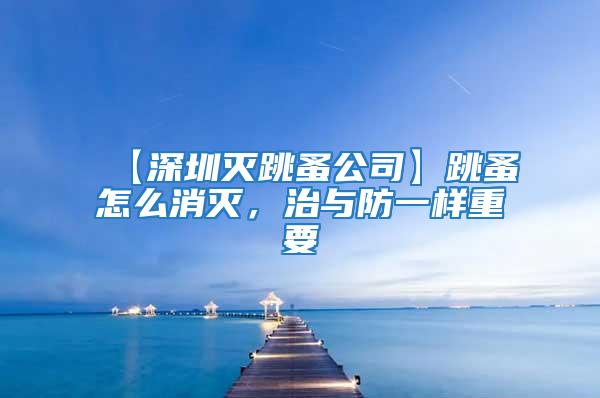 【深圳滅跳蚤公司】跳蚤怎么消滅，治與防一樣重要