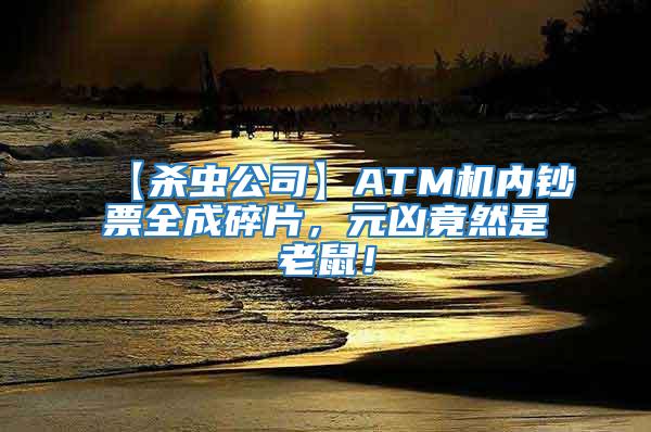 【殺蟲公司】ATM機內鈔票全成碎片,元兇竟然是老鼠!