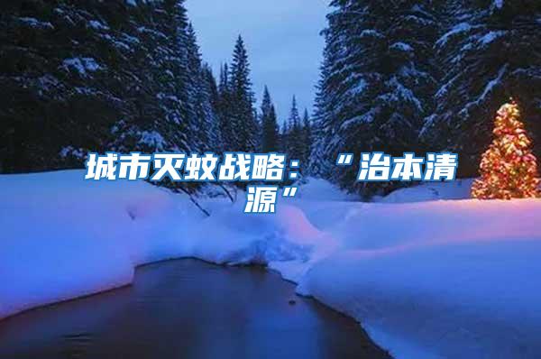 城市滅蚊戰略:“治本清源”