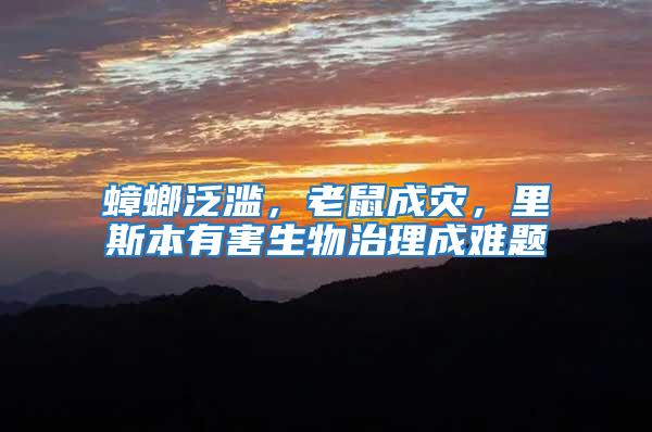 蟑螂泛濫,老鼠成災(zāi),里斯本有害生物治理成難題