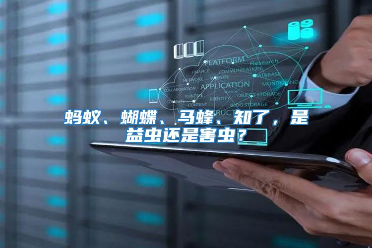 螞蟻、蝴蝶、馬蜂、知了,是益蟲還是害蟲?