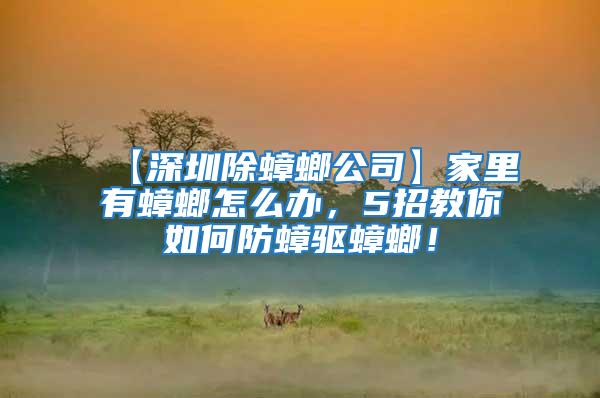 【深圳除蟑螂公司】家里有蟑螂怎么辦,5招教你如何防蟑驅蟑螂!