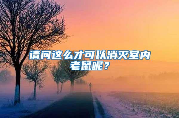 請問這么才可以消滅室內老鼠呢?