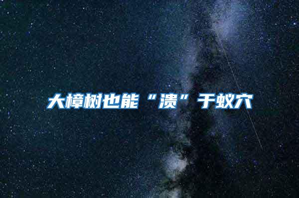 大樟樹(shù)也能“潰”于蟻穴