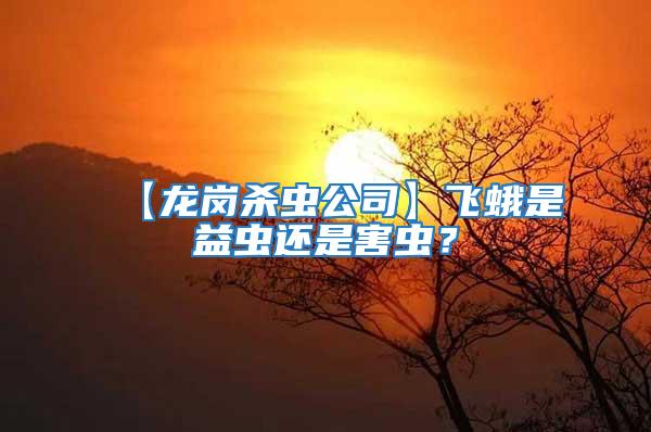 【龍崗殺蟲公司】飛蛾是益蟲還是害蟲？