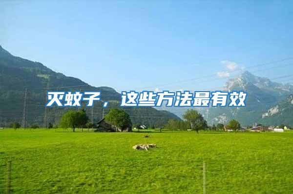 滅蚊子,這些方法最有效