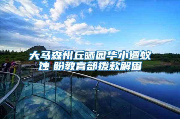 大馬森州丘曬園華小遭蟻蝕 盼教育部撥款解困