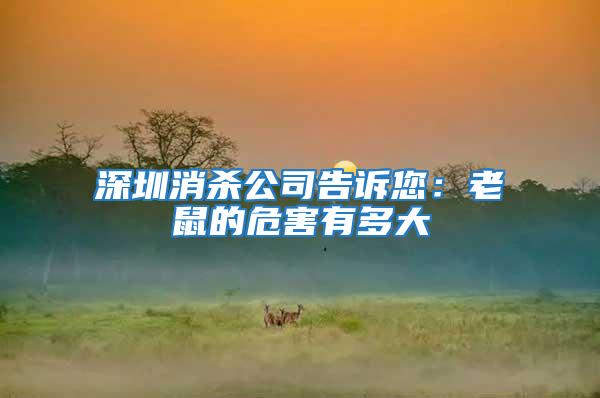 深圳消殺公司告訴您:老鼠的危害有多大