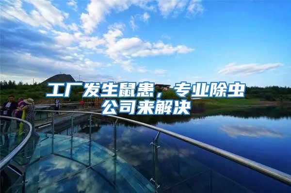 工廠發生鼠患,專業除蟲公司來解決