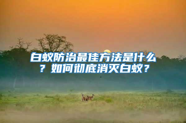 白蟻防治最佳方法是什么？如何徹底消滅白蟻？