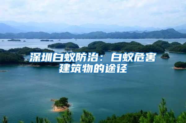 深圳白蟻防治:白蟻危害建筑物的途徑
