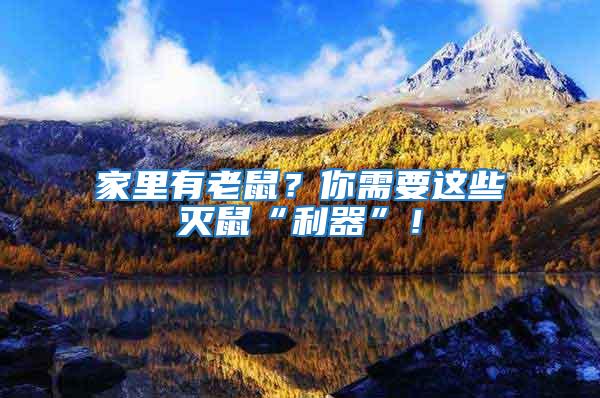 家里有老鼠?你需要這些滅鼠“利器”!