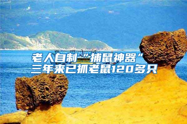 老人自制“捕鼠神器” 三年來已抓老鼠120多只