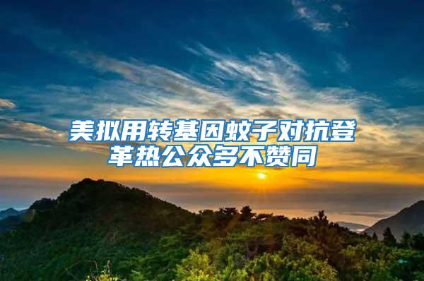 美擬用轉(zhuǎn)基因蚊子對(duì)抗登革熱公眾多不贊同