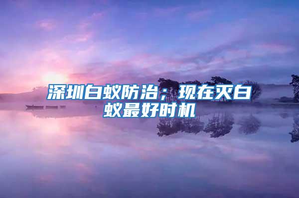 深圳白蟻防治;現(xiàn)在滅白蟻最好時機