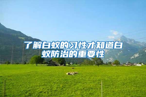 了解白蟻的習性才知道白蟻防治的重要性