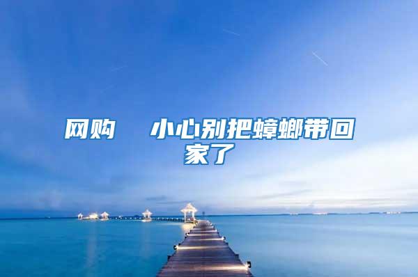 網購 小心別把蟑螂帶回家了