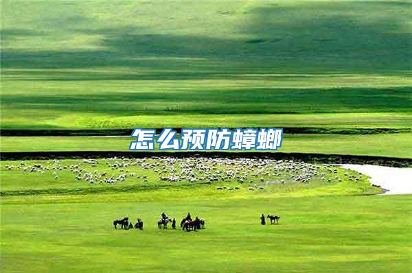 怎么預防蟑螂