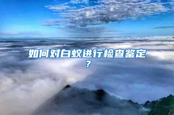 如何對(duì)白蟻進(jìn)行檢查鑒定?