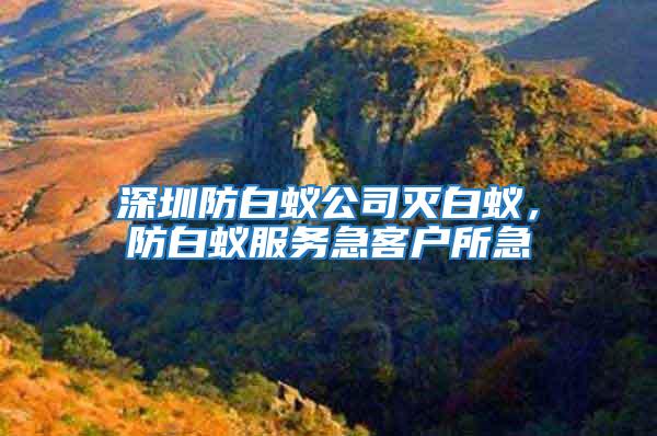 深圳防白蟻公司滅白蟻,防白蟻服務急客戶所急