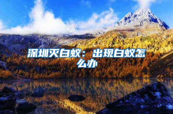 深圳滅白蟻:出現白蟻怎么辦