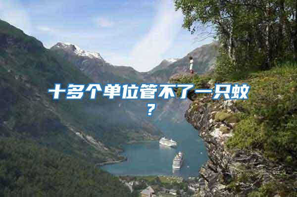 十多個(gè)單位管不了一只蚊?