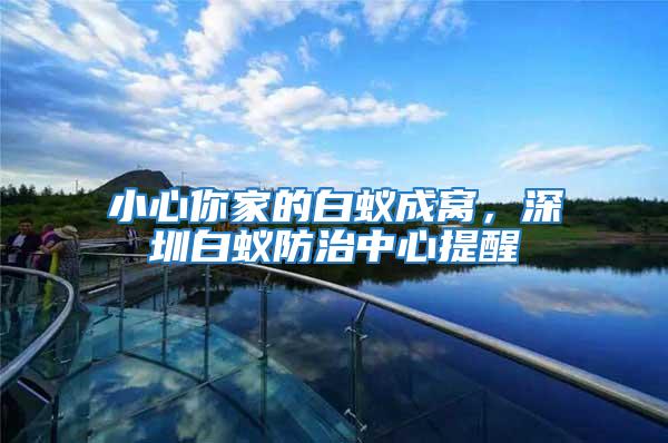 小心你家的白蟻成窩，深圳白蟻防治中心提醒