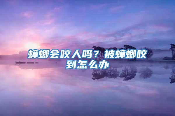 蟑螂會咬人嗎?被蟑螂咬到怎么辦