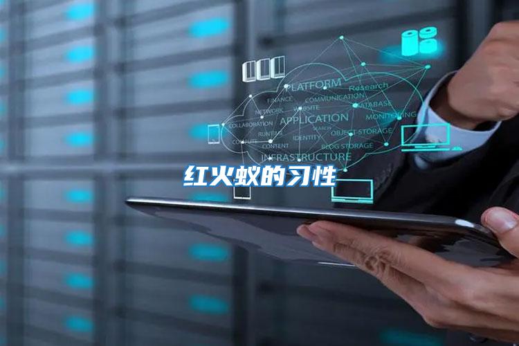 紅火蟻的習性
