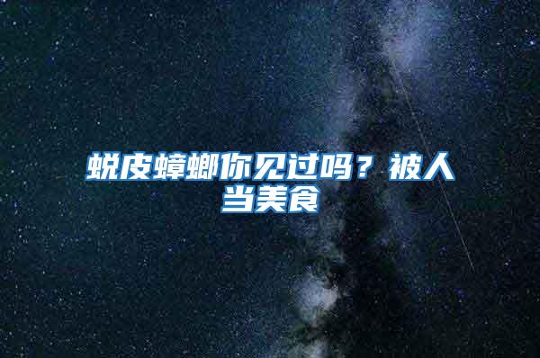 蛻皮蟑螂你見過嗎?被人當(dāng)美食