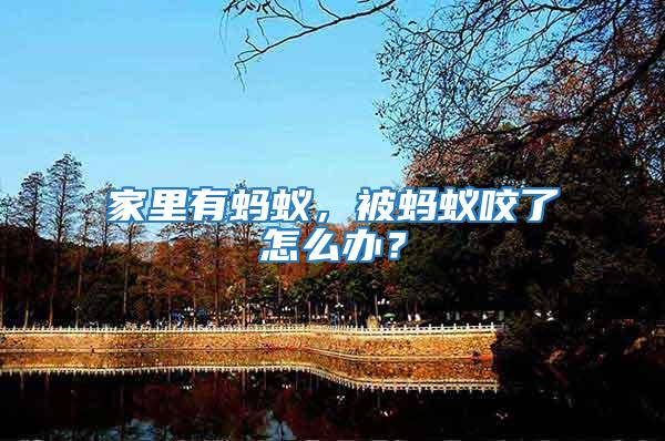 家里有螞蟻，被螞蟻咬了怎么辦？