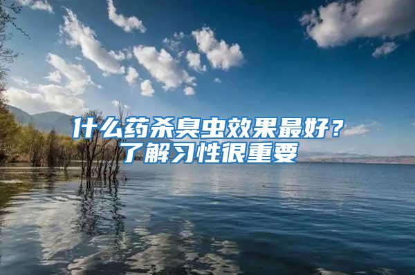 什么藥殺臭蟲效果最好？了解習性很重要
