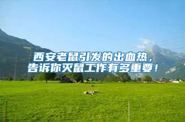 西安老鼠引發的出血熱,告訴你滅鼠工作有多重要!