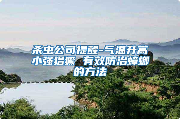 殺蟲公司提醒-氣溫升高小強猖獗 有效防治蟑螂的方法