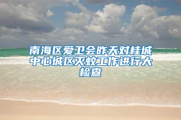 南海區(qū)愛衛(wèi)會(huì)昨天對(duì)桂城中心城區(qū)滅蚊工作進(jìn)行大檢查