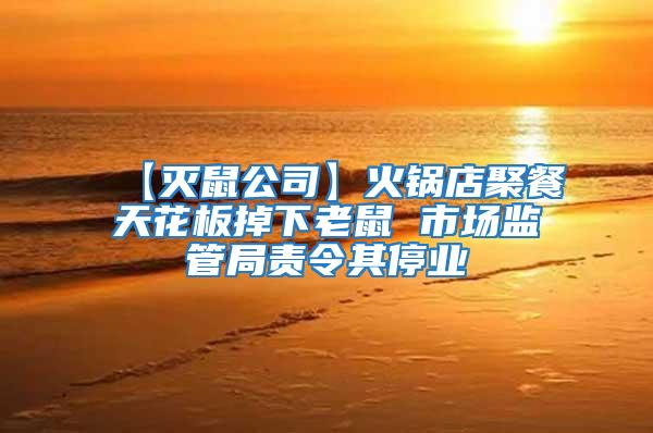 【滅鼠公司】火鍋店聚餐天花板掉下老鼠 市場(chǎng)監(jiān)管局責(zé)令其停業(yè)