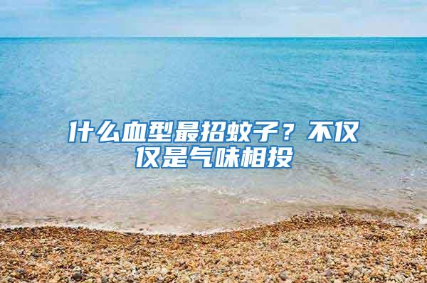 什么血型最招蚊子？不僅僅是氣味相投