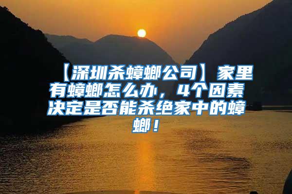 【深圳殺蟑螂公司】家里有蟑螂怎么辦，4個因素決定是否能殺絕家中的蟑螂！