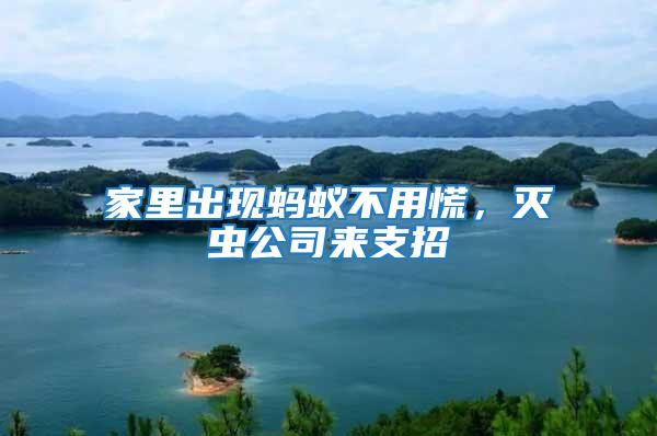 家里出現(xiàn)螞蟻不用慌,滅蟲公司來支招