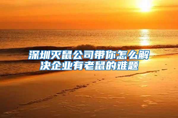 深圳滅鼠公司帶你怎么解決企業有老鼠的難題