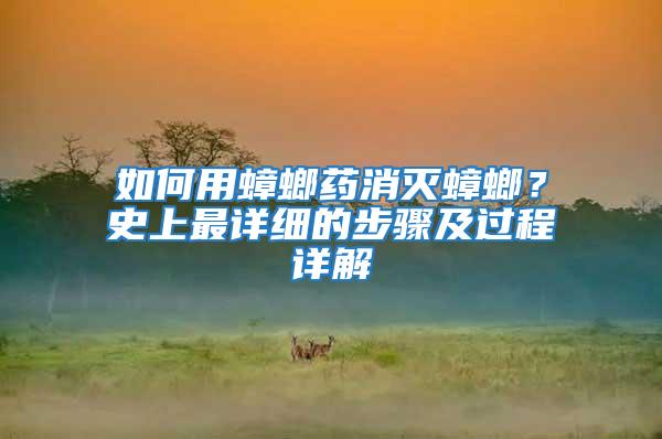 如何用蟑螂藥消滅蟑螂？史上最詳細的步驟及過程詳解