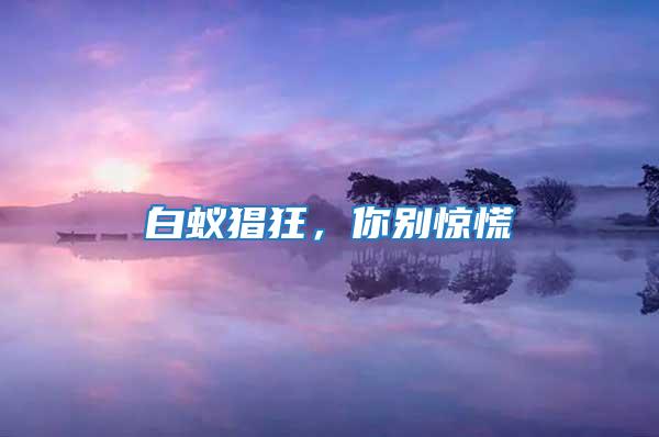 白蟻猖狂,你別驚慌