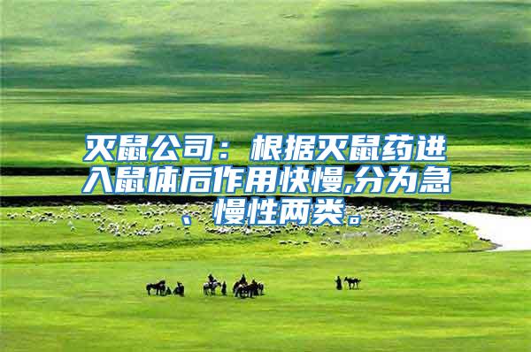 滅鼠公司:根據(jù)滅鼠藥進(jìn)入鼠體后作用快慢,分為急、慢性?xún)深?lèi)。