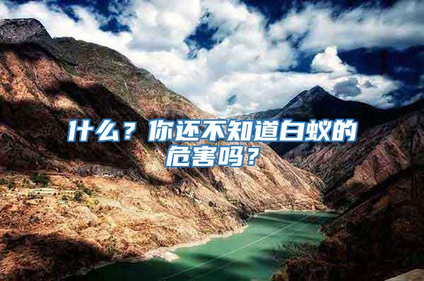 什么？你還不知道白蟻的危害嗎？