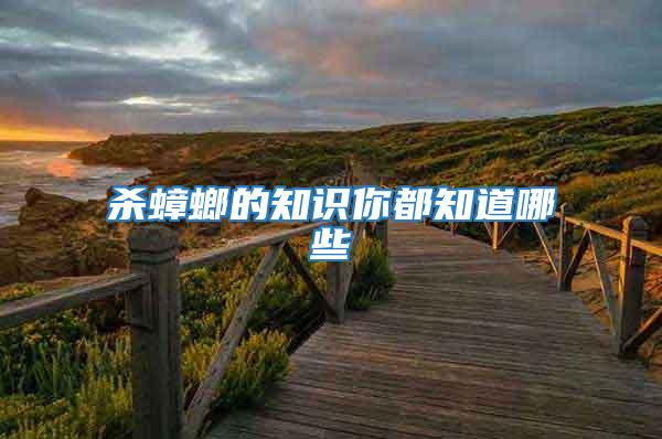 殺蟑螂的知識(shí)你都知道哪些